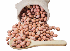 Groundnuts