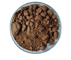 Rapeseed Meal